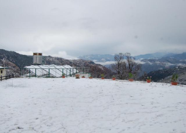 Natureraga Fernhill Resort Chail Exteriér fotografie